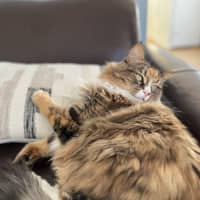 Photo of Ruby