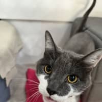 Photo of Principal Flutie 