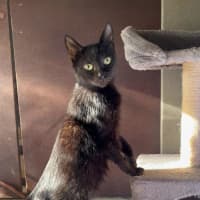 Photo of Bellatrix 