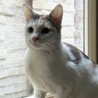 Photo of Mabel