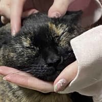 Photo of Kallie 🍃💕