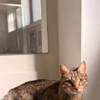 Photo of Luna