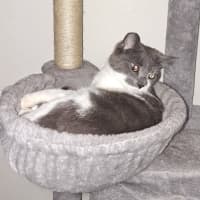 Photo of Missy