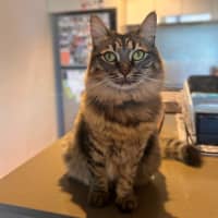 Photo of Rhea