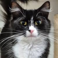 Photo of Wendy