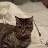 Photo of Charlie 
