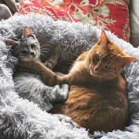 Photo of Rufus And Pandora