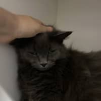 Photo of Esky