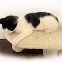 Photo of Hazel