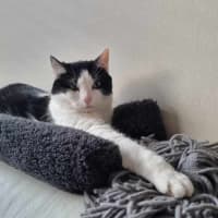 Photo of Jasmine