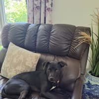 Photo of Zara