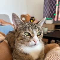 Photo of Trudy