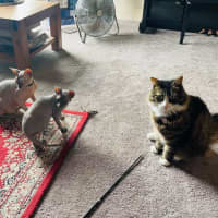 Photo of Luna And Lylah