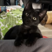 Photo of Terry