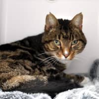 Photo of Lex Sta013973