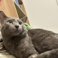 Photo of Sirius