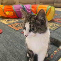Photo of Mabel 
