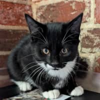 Photo of Buster
