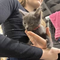 Photo of Astro