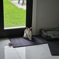 Photo of Jessica 