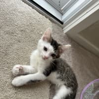 Photo of Bill
