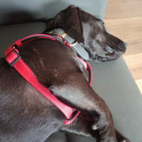 Photo of Heidi