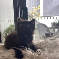Photo of Spook