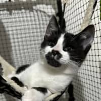 Photo of Kung Fu Panda