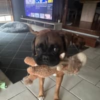 Photo of Tyson