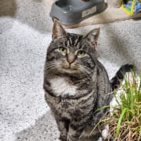 Photo of Boots
