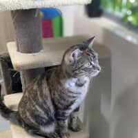 Photo of 🍧 Queenie 5290 🍧