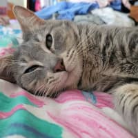 Photo of Chirp