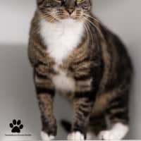Photo of Laverne