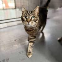 Photo of Fred And George