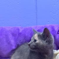 Photo of Precious