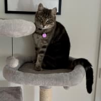 Photo of Lexi & Cara