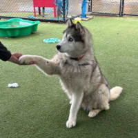 Photo of Miya