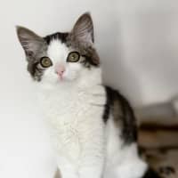 Photo of 🧚Elfina🧚‍♂️