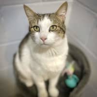 Photo of Mable