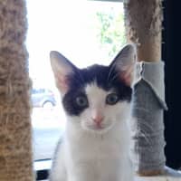 Photo of Esmeralda Joy