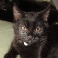 Photo of Truffle 