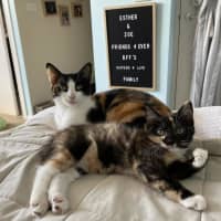Photo of Maisy & Marlow