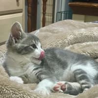 Photo of Minnie Mimi