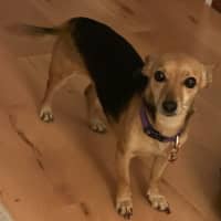 Photo of Tilda (Winnie)