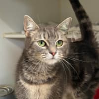 Photo of Bitsy