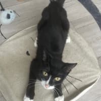 Photo of Carol (8905)