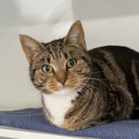 Photo of Tilly