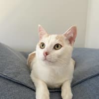 Photo of Snowy