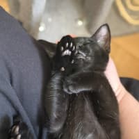 Photo of Zuzu