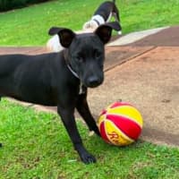 Photo of Coco